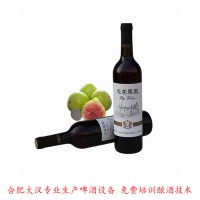 桑葚果酒生产线 蓝莓酒生产线大汉果酒生产设备