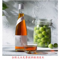 树莓果酒生产线 树莓果酒全套加工设备厂家-优惠价格